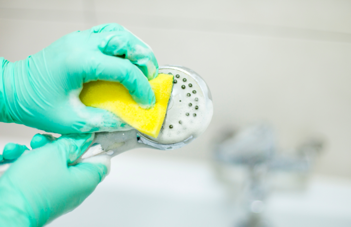 Rubber-gloved hands cleaning limescale off a showerhead with a sponge.